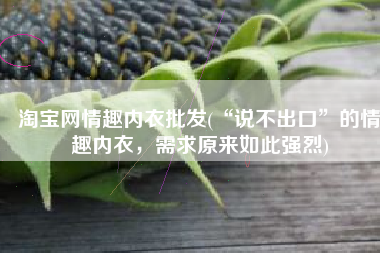 淘宝网情趣内衣批发(“说不出口”的情趣内衣，需求原来如此强烈)