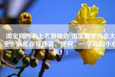 淘宝网内衣上衣旗舰店(淘宝夏季内衣大全，满足你穿露背、露肩、一字肩的小心机！)