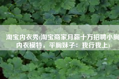 淘宝内衣秀(淘宝商家月薪十万招聘小胸内衣模特，平胸妹子：我行我上)