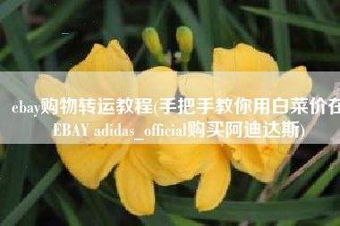 ebay购物转运教程(手把手教你用白菜价在EBAY adidas_official购买阿迪达斯)