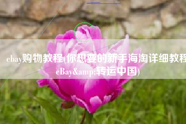 ebay购物教程(你想要的新手海淘详细教程eBay&转运中国)