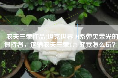 农夫三拳作品(坦克世界 M系弹夹荣光的保持者，这辆农夫三拳T77 究竟怎么玩？)