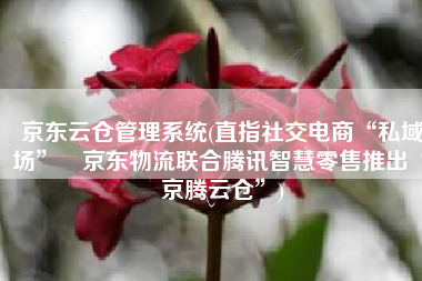 京东云仓管理系统(直指社交电商“私域场” 京东物流联合腾讯智慧零售推出“京腾云仓”)