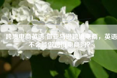 跨境电商英语(做亚马逊跨境电商，英语不会能做跨境电商吗？)