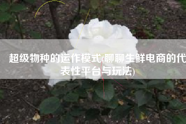 超级物种的运作模式(聊聊生鲜电商的代表性平台与玩法)