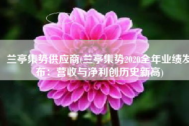 兰亭集势供应商(兰亭集势2020全年业绩发布：营收与净利创历史新高)