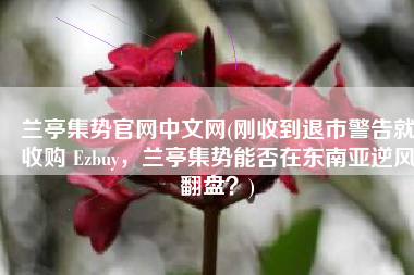 兰亭集势官网中文网(刚收到退市警告就收购 Ezbuy，兰亭集势能否在东南亚逆风翻盘？)