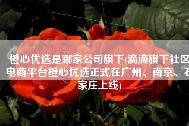 橙心优选是哪家公司旗下(滴滴旗下社区电商平台橙心优选正式在广州、南京、石家庄上线)