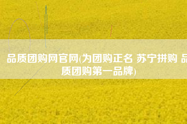 品质团购网官网(为团购正名 苏宁拼购 品质团购第一品牌)