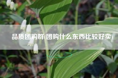 品质团购群(团购什么东西比较好卖)