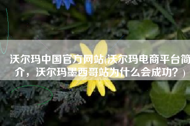 沃尔玛中国官方网站(沃尔玛电商平台简介，沃尔玛墨西哥站为什么会成功？)