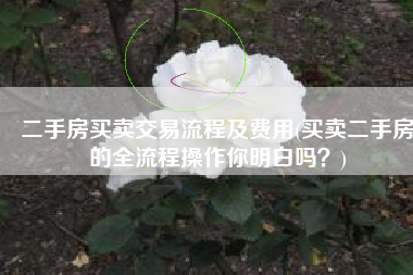 二手房买卖交易流程及费用(买卖二手房的全流程操作你明白吗？)