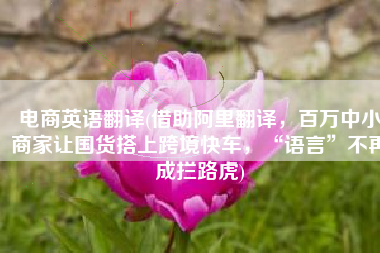 电商英语翻译(借助阿里翻译，百万中小商家让国货搭上跨境快车，“语言”不再成拦路虎)