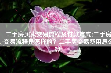 二手房买卖交易流程及付款方式(二手房交易流程是怎样的？二手房交易费用怎么算)