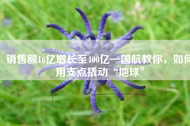 销售额16亿增长至400亿—国航教你，如何用支点撬动“地球”