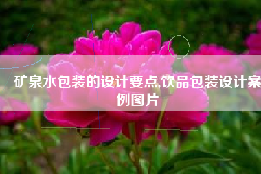 矿泉水包装的设计要点,饮品包装设计案例图片