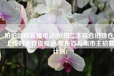 拍拍回收客服电话(拍拍二手联合旧物仓 上线时光百货频道 发布百万集市主招募计划)