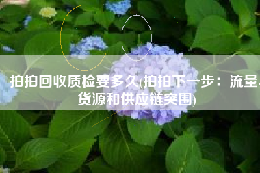 拍拍回收质检要多久(拍拍下一步：流量、货源和供应链突围)