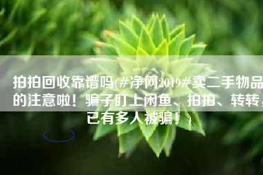 拍拍回收靠谱吗(#净网2019#卖二手物品的注意啦！骗子盯上闲鱼、拍拍、转转，已有多人被骗！)