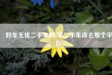 好车无忧二手车网(买二手车该去那个平台)