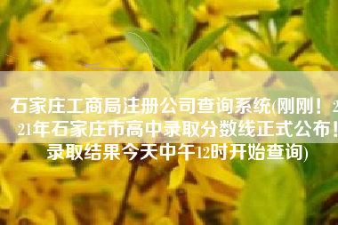 石家庄工商局注册公司查询系统(刚刚！2021年石家庄市高中录取分数线正式公布！录取结果今天中午12时开始查询)