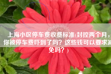 上海小区停车费收费标准(封控两个月，你被停车费吓到了吗？这些钱可以要求减免吗？)