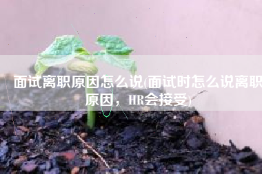 面试离职原因怎么说(面试时怎么说离职原因，HR会接受)