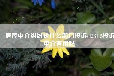 房屋中介纠纷找什么部门投诉(1231 5投诉中介有用吗)