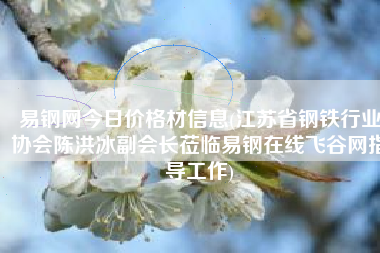 易钢网今日价格材信息(江苏省钢铁行业协会陈洪冰副会长莅临易钢在线飞谷网指导工作)