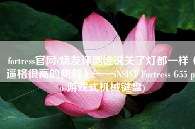 fortress官网(烧友评测谁说关了灯都一样（逼格很高的侧刻）——iNSIST Fortress G55 pro 游戏式机械键盘)