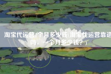 淘宝代运营1个月多少钱(淘宝代运营靠谱吗，一个月多少钱？)
