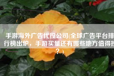 手游海外广告代投公司(全球广告平台排行榜出炉，手游买量还有哪些地方值得投？)