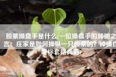 股票操盘手是什么(一位操盘手的肺腑之言：庄家是如何操纵一只股票的？神操作堪称套路典范)