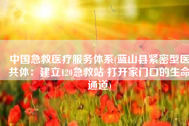 中国急救医疗服务体系(蓝山县紧密型医共体：建立120急救站 打开家门口的生命通道)