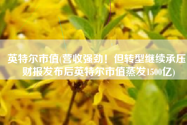 英特尔市值(营收强劲！但转型继续承压，财报发布后英特尔市值蒸发1500亿)