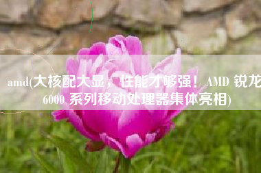 amd(大核配大显，性能才够强！AMD 锐龙 6000 系列移动处理器集体亮相)
