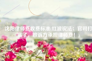 沈阳律师费收费标准(红波说法：官司打赢了，败诉方承担律师费！)