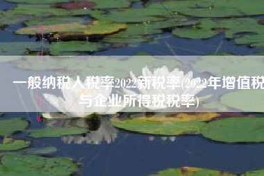 一般纳税人税率2022新税率(2022年增值税与企业所得税税率)