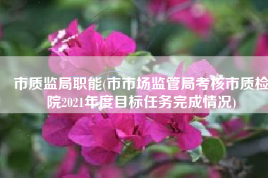 市质监局职能(市市场监管局考核市质检院2021年度目标任务完成情况)