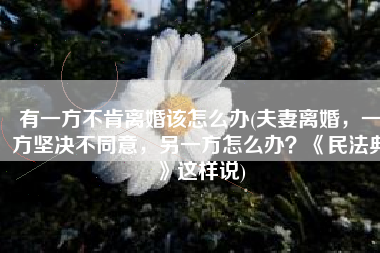 有一方不肯离婚该怎么办(夫妻离婚，一方坚决不同意，另一方怎么办？《民法典》这样说)