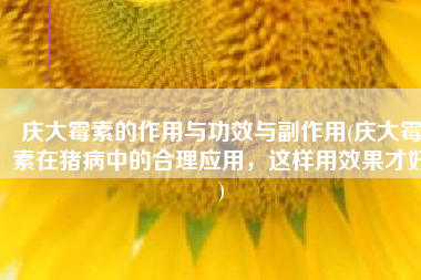 庆大霉素的作用与功效与副作用(庆大霉素在猪病中的合理应用，这样用效果才好)