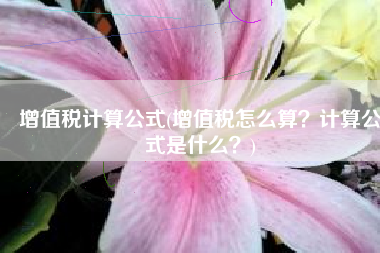 增值税计算公式(增值税怎么算？计算公式是什么？)