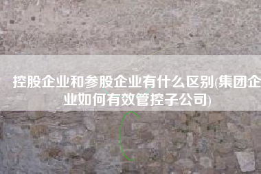 控股企业和参股企业有什么区别(集团企业如何有效管控子公司)