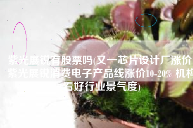 紫光展锐有股票吗(又一芯片设计厂涨价！紫光展锐消费电子产品线涨价10-20% 机构看好行业景气度)