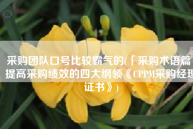 采购团队口号比较霸气的(「采购术语篇」提高采购绩效的四大纲领《CPPM采购经理证书》)