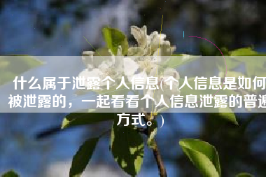 什么属于泄露个人信息(个人信息是如何被泄露的，一起看看个人信息泄露的普遍方式。)
