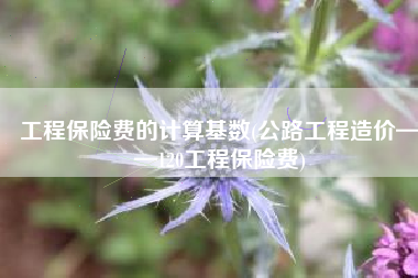 工程保险费的计算基数(公路工程造价——120工程保险费)