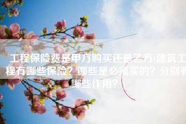 工程保险费是甲方购买还是乙方(建筑工程有哪些保险？哪些是必须买的？分别有哪些作用？)
