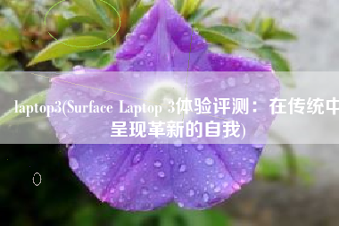laptop3(Surface Laptop 3体验评测：在传统中呈现革新的自我)