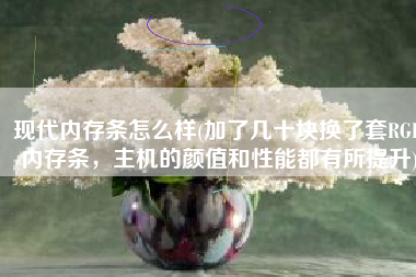 现代内存条怎么样(加了几十块换了套RGB内存条，主机的颜值和性能都有所提升)